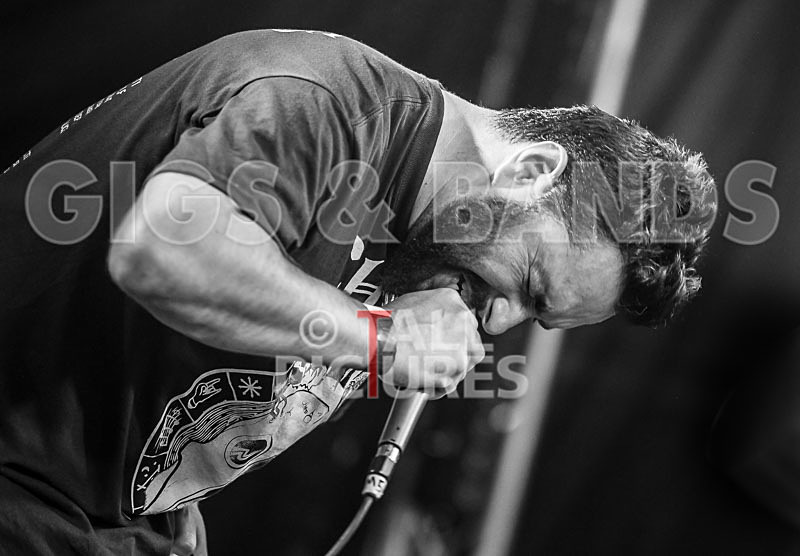 Masticated-17 - MASTICATED