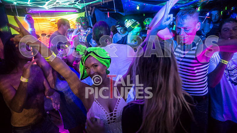 Vale Earth Fair 2015-12 - VALE EARTH FAIR 2015 - THE PRESS EDIT