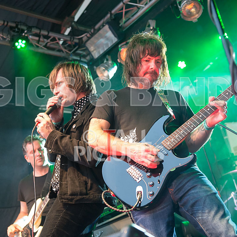 The Cryptics-108 - THE CRYPTICS