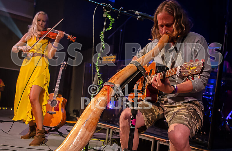 Buffalo Huddleston-634 - BUFFALO HUDDLESTON