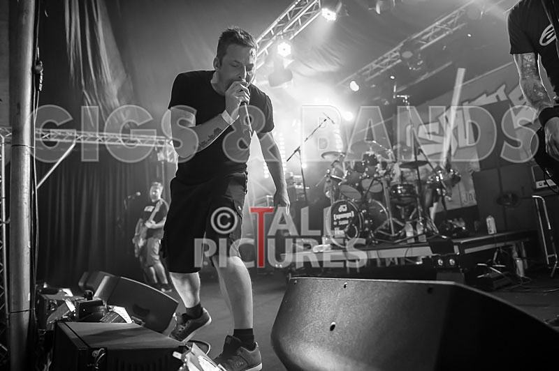 Spunge-102 - [spunge]