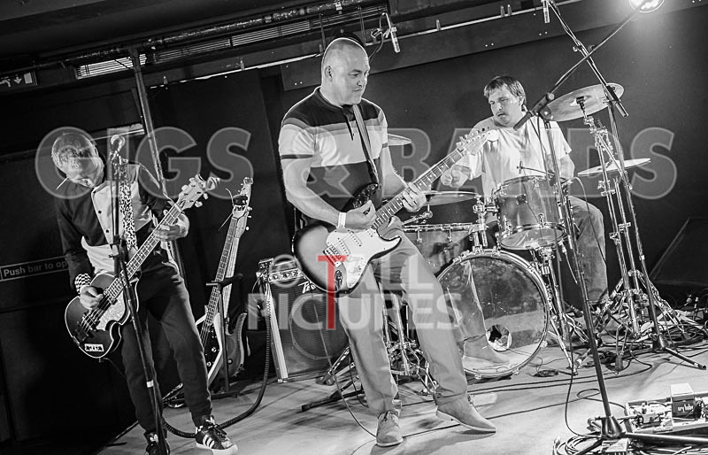 The Risk-360 - THE RISK