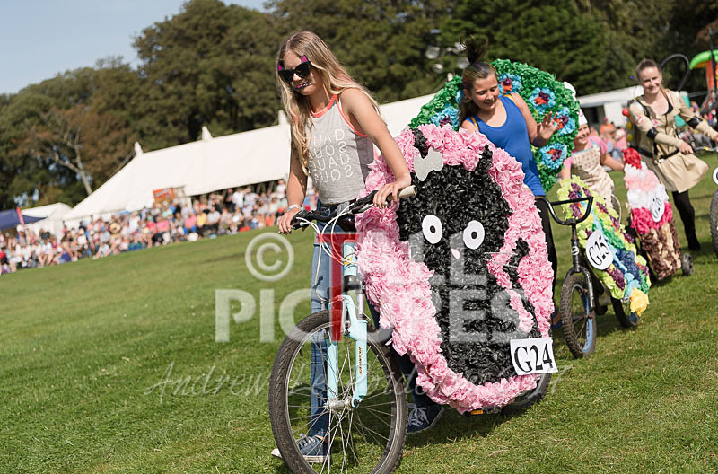 North Show 2017-43 - NORTH SHOW 2017