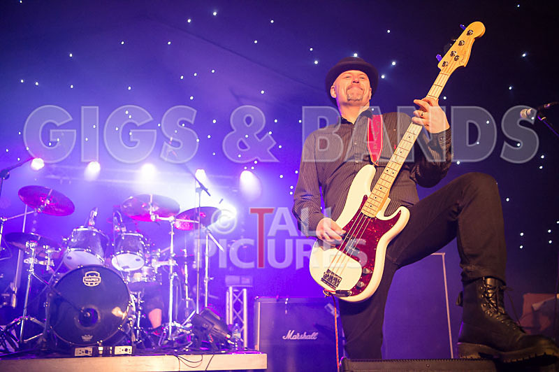 Peppered Ant Legs-184 - PEPPERED ANT LEGS