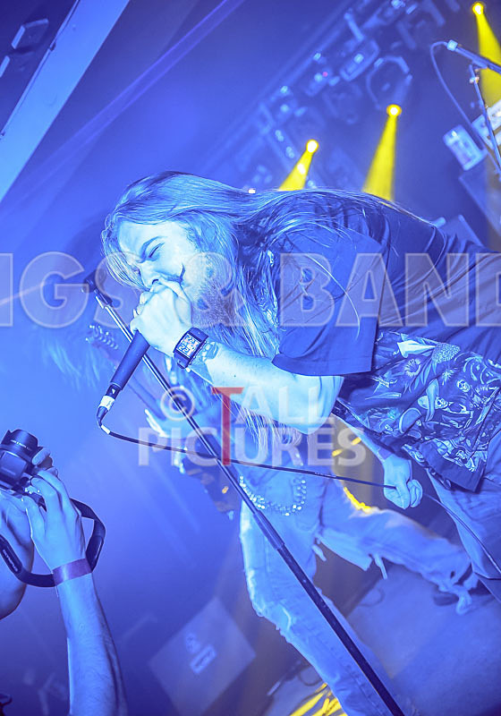 Stone Em All-220 - STONE EM ALL