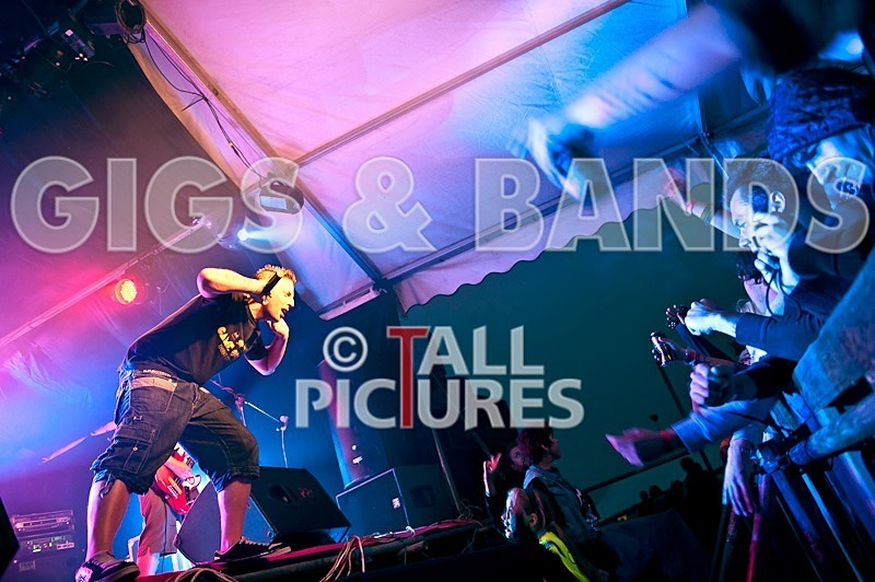 Spunge-35 - [spunge]