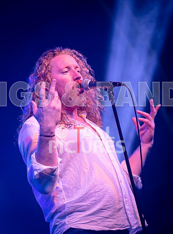 Letz Zeppelin-39 - LETZ ZEPPELIN