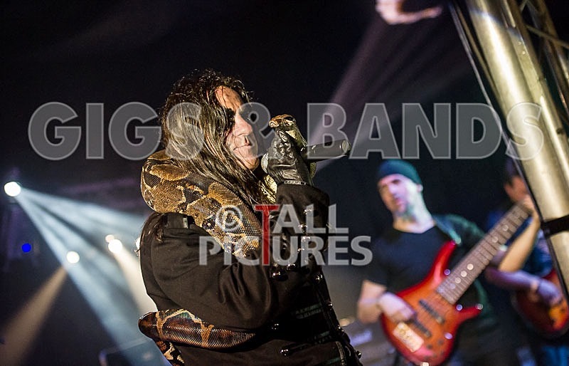 Gallus Cooper-49 - GALLUS COOPER