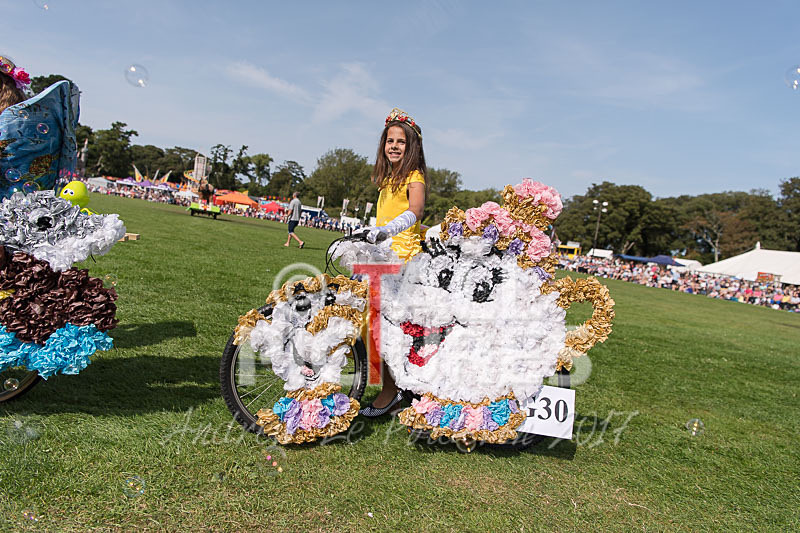 North Show 2017-83 - NORTH SHOW 2017