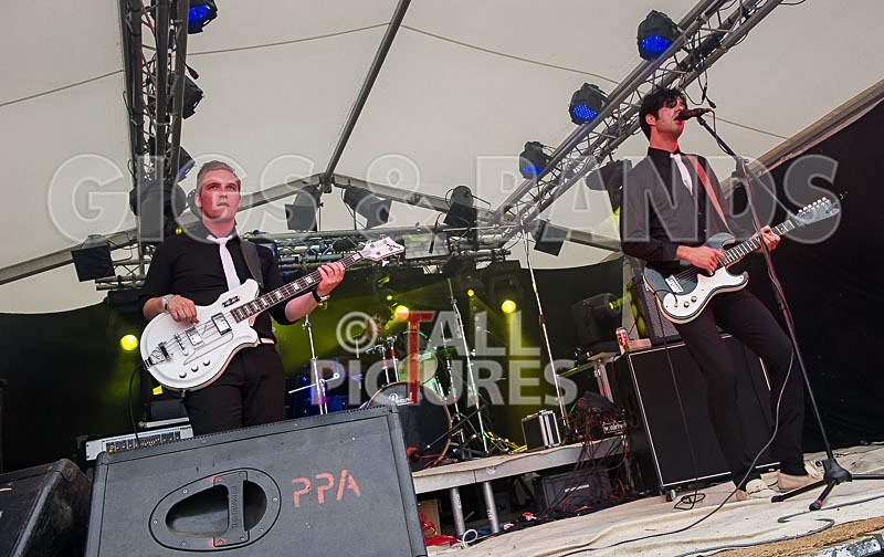 Surfin Birds-2 - THE SURFIN' BIRDS