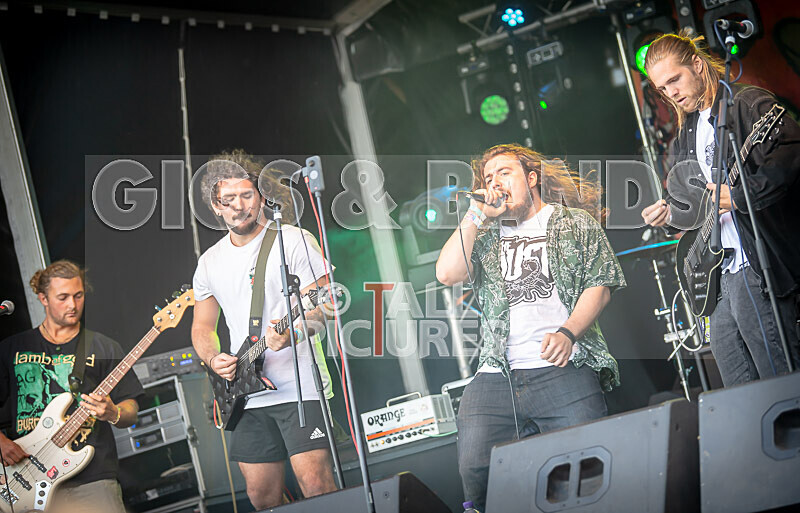 The Dust-13 - THE DUST