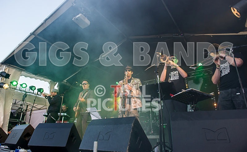 Sons of the Desert-224 - SONS OF THE DESERT