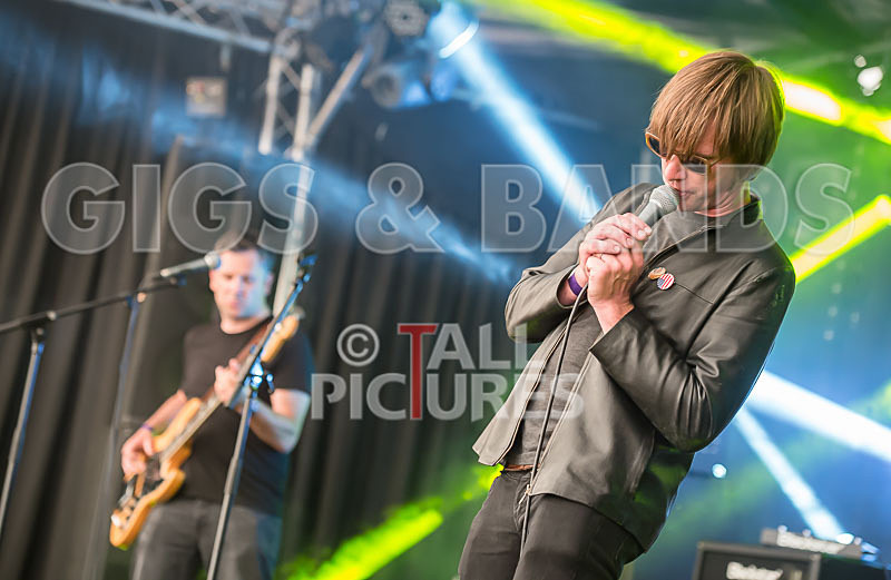 The Cryptics-45 - THE CRYPTICS