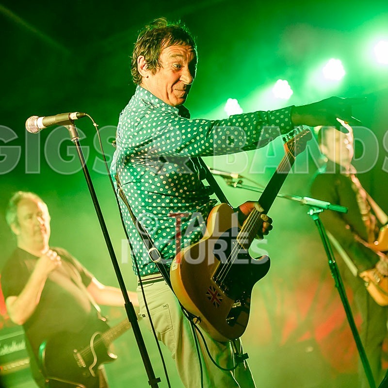 The Buzzcocks-57 - BUZZCOCKS