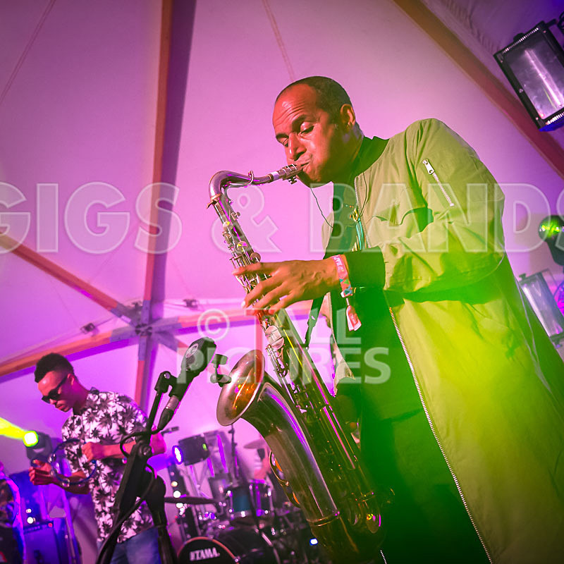 The Beat-62 - THE BEAT