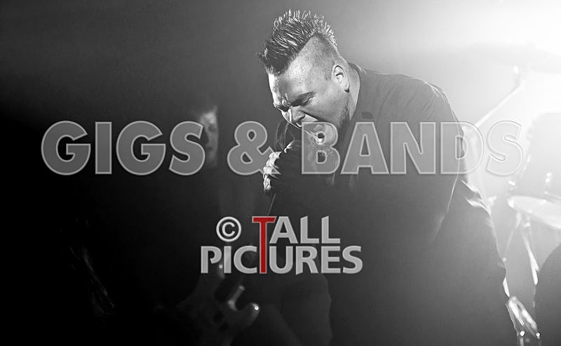 Dead Wing-29 - DEAD WING