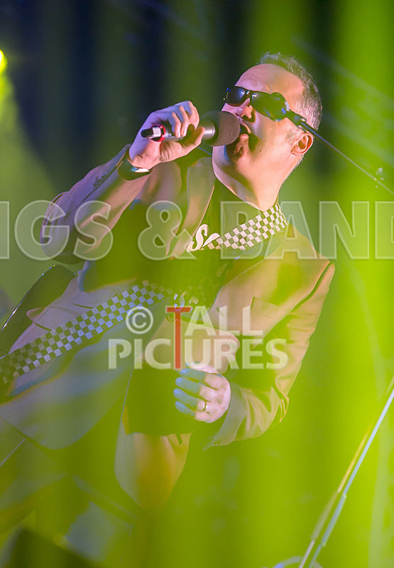 Sons of the Desert-341 - SONS OF THE DESERT