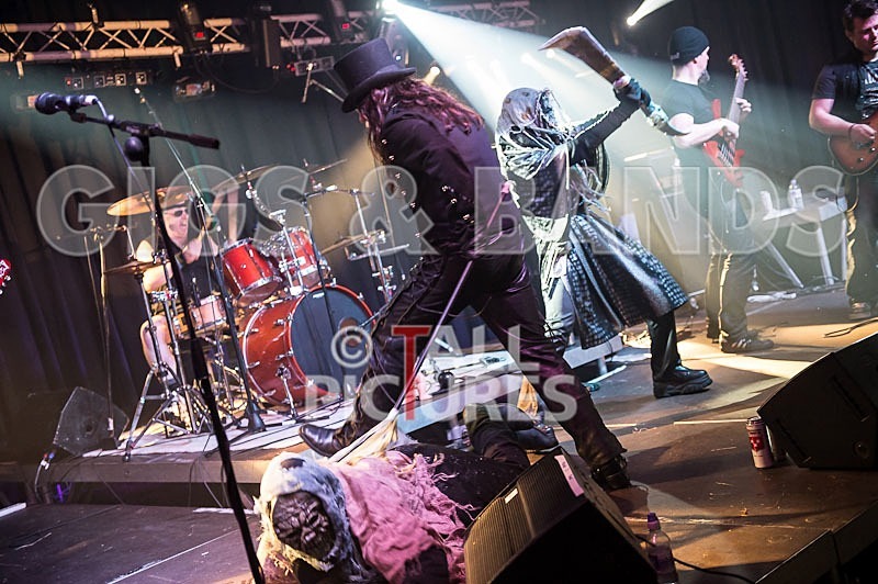 Gallus Cooper-2 - GALLUS COOPER