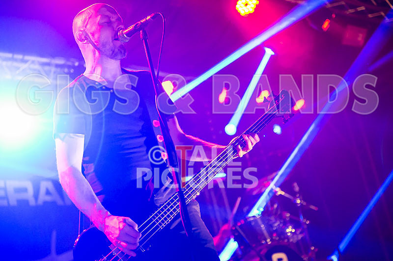 Therapy--21 - THERAPY?