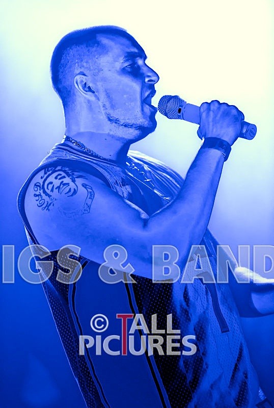 Asylum Seekas-50 - ASYLUM SEEKAS AT IVY CASTLE