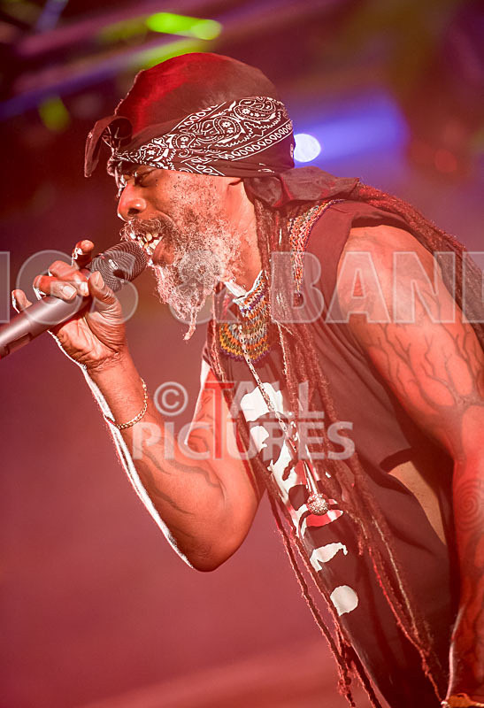 Asian Dub Foundation-20 - ASIAN DUB FOUNDATION