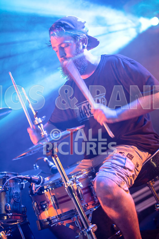 Static Alice-719 - STATIC ALICE