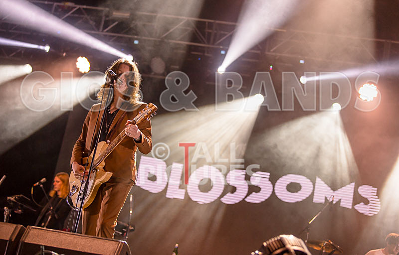 Blossoms-4 - BLOSSOMS