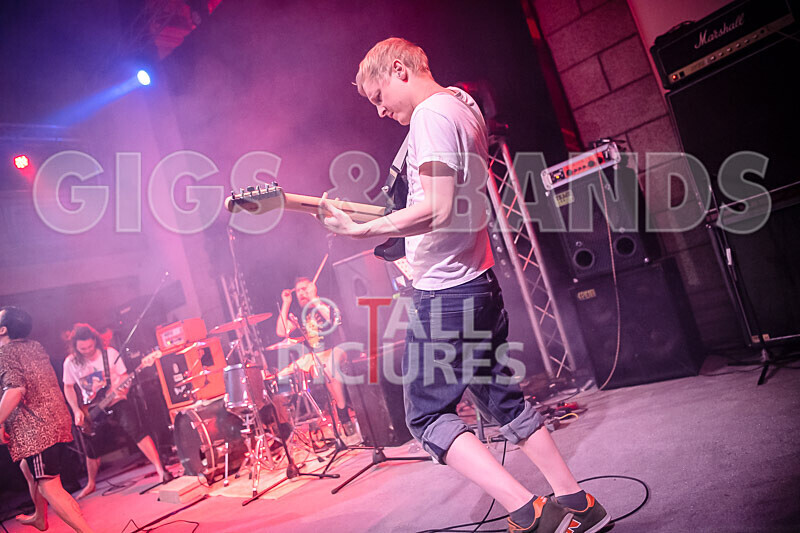 Pigsx7-44 - PIGS PIGS PIGS PIGS PIGS PIGS PIGS