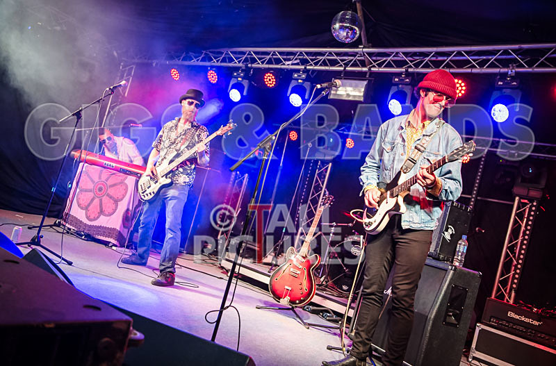 Surfin Birds-67 - SURFIN' BIRDS