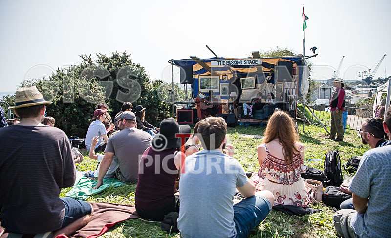 Vale Earth Fair 2017_SCENE-103 - VALE EARTH FAIR 2017_THE SCENE