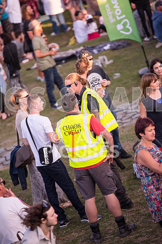 Vale Earth Fair 2017_SCENE-118 - VALE EARTH FAIR 2017_THE SCENE