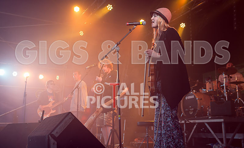 Buffalo Huddleston-205 - BUFFALO HUDDLESTON