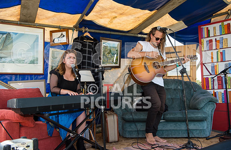 Vale Earth Fair 2017_SCENE-133 - VALE EARTH FAIR 2017_THE SCENE