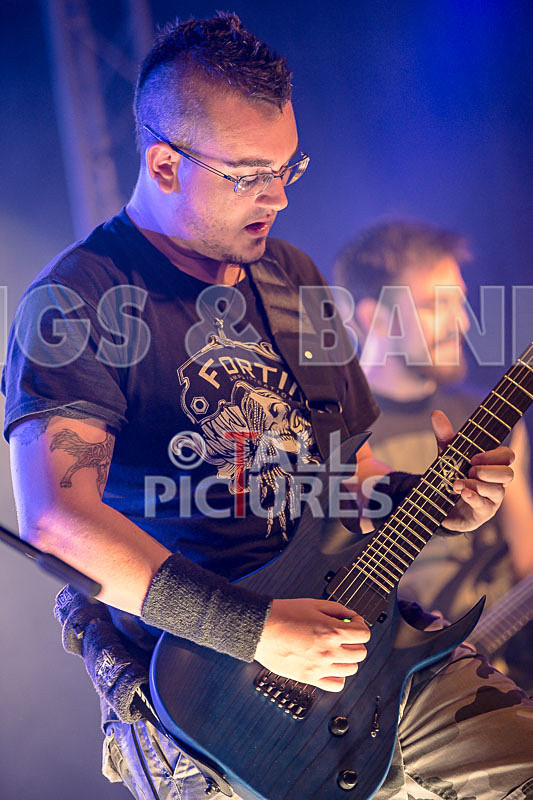 Demise of Sanity-147 - DEMISE OF SANITY