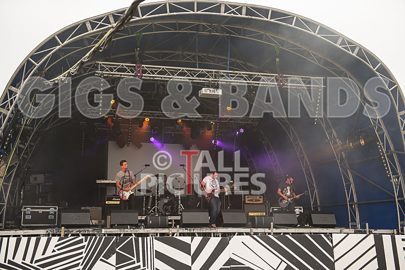 Subversion-12 - SUBVERSION