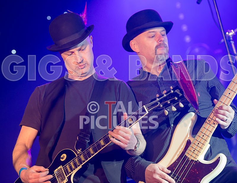 Peppered Ant Legs-174 - PEPPERED ANT LEGS