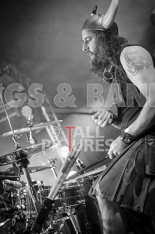 Peppered Ant Legs-228 - PEPPERED ANT LEGS