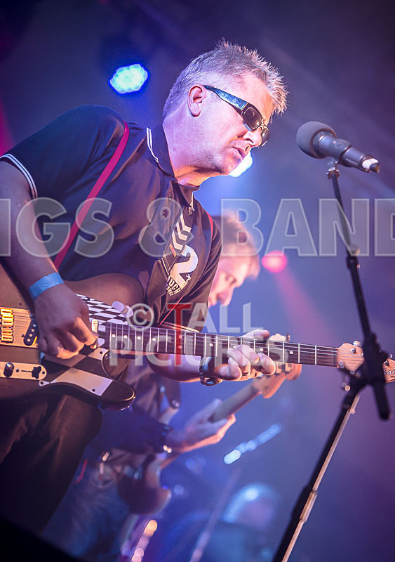 Sons of the Desert-351 - SONS OF THE DESERT