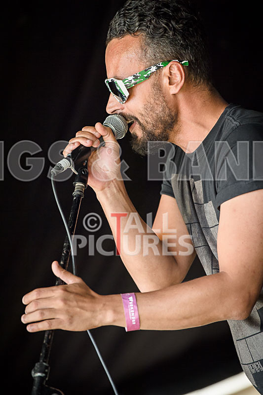 Serkeidian-16 - SERKEIDIAN