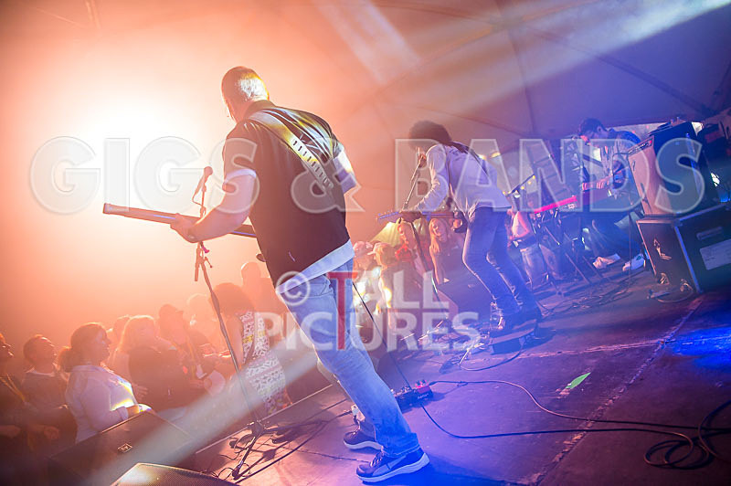 Mungo Jerry-18 - MUNGO JERRY