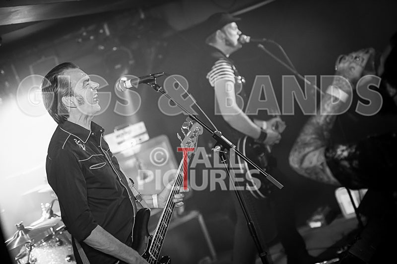 The Electric Shakes-160 - THE ELECTRIC SHAKES