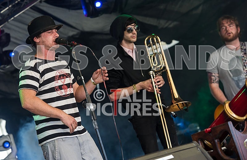 Pirate Party Brigade-14 - PIRATE PARTY BRIGADE