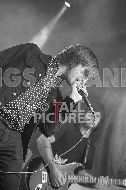 The Cryptics-117 - THE CRYPTICS