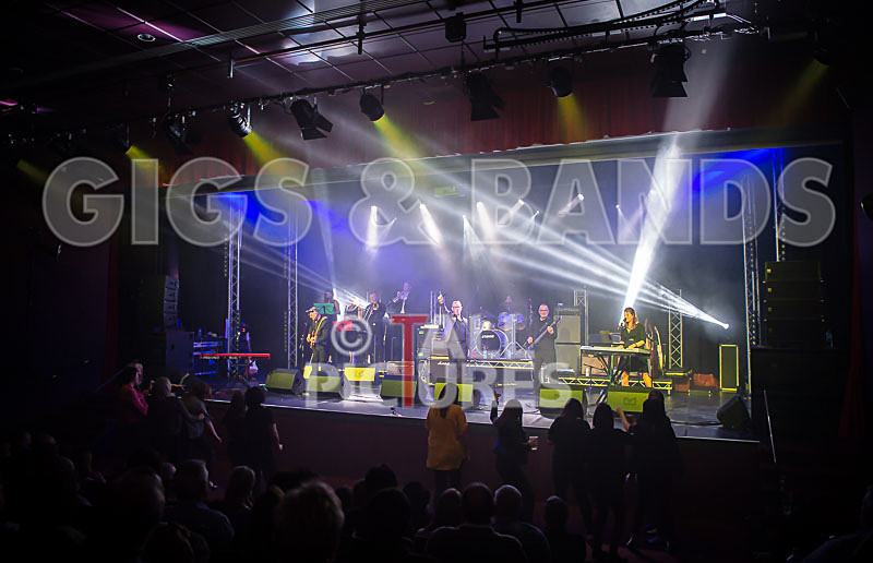 Harry Dean Junior and the New Breed-66 - HARRY DEAN JUNIOR AND THE NEW BREED