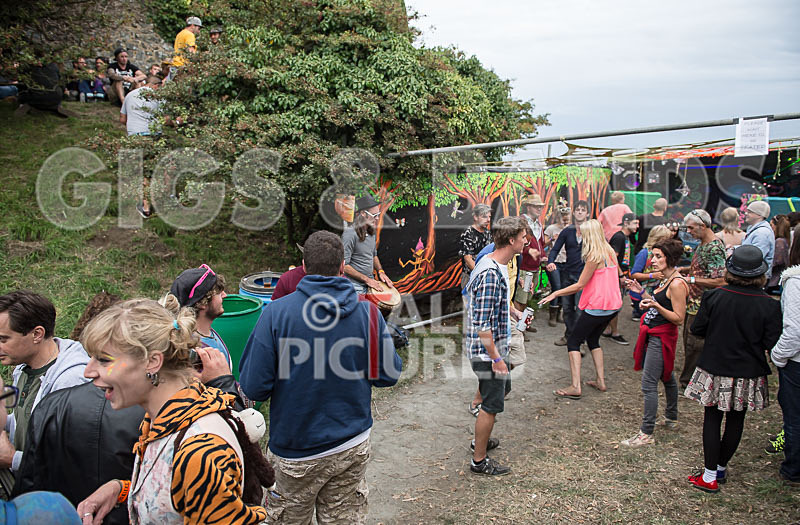 Vale Earth Fair_Atmosphere_2014-58 - VALE EARTH FAIR 2014 - THE ATMOSPHERE