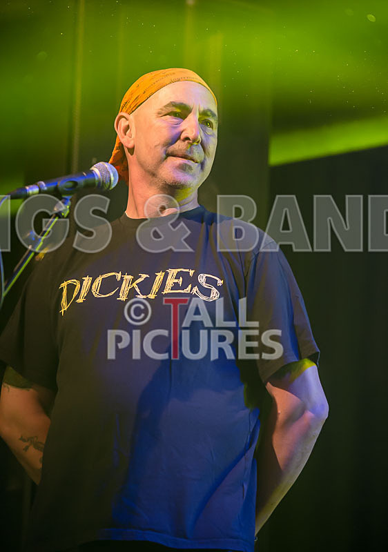 Spunge-84 - [spunge]