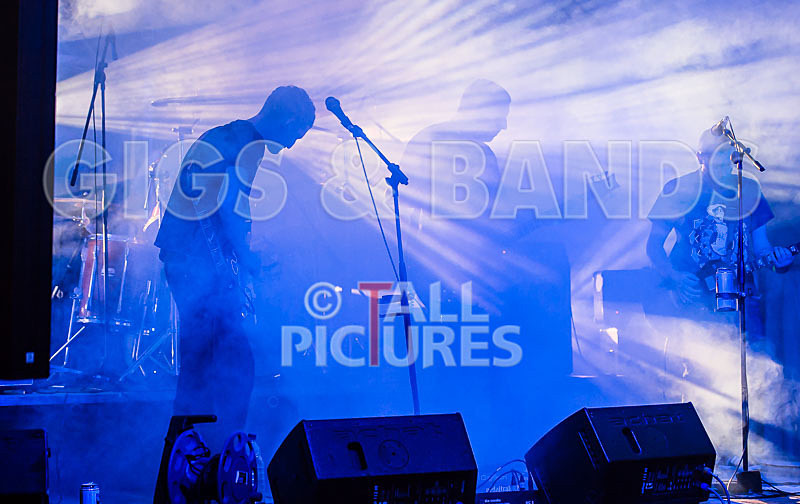 Subversion-33 - SUBVERSION