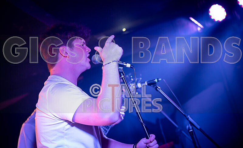 Black Dog-5 - BLACK DOG