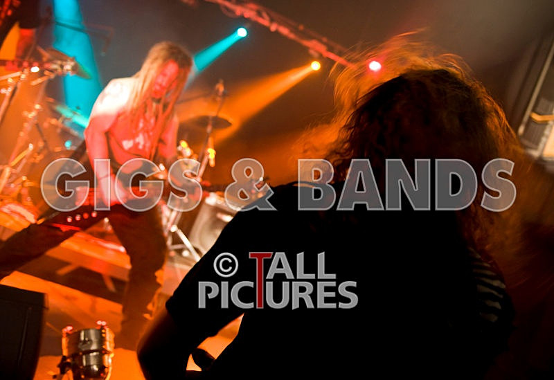 Maiden Guernsey-36 - MAIDEN GUERNSEY at RoA-2