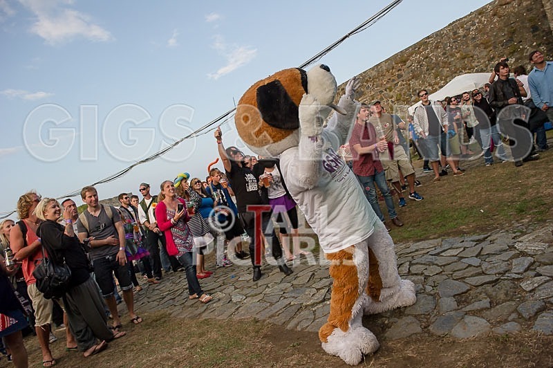 Vale Earth Fair_2013_Atmosphere-30 - VALE EARTH FAIR 2013_THE ATMOSPHERE